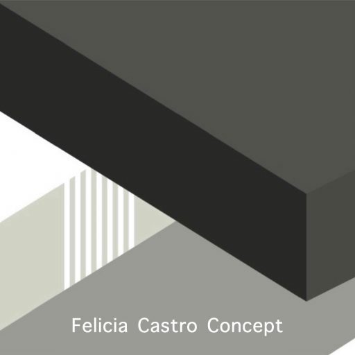 Felicia Castro Concept